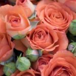 wedding-roses-4-1077718-m